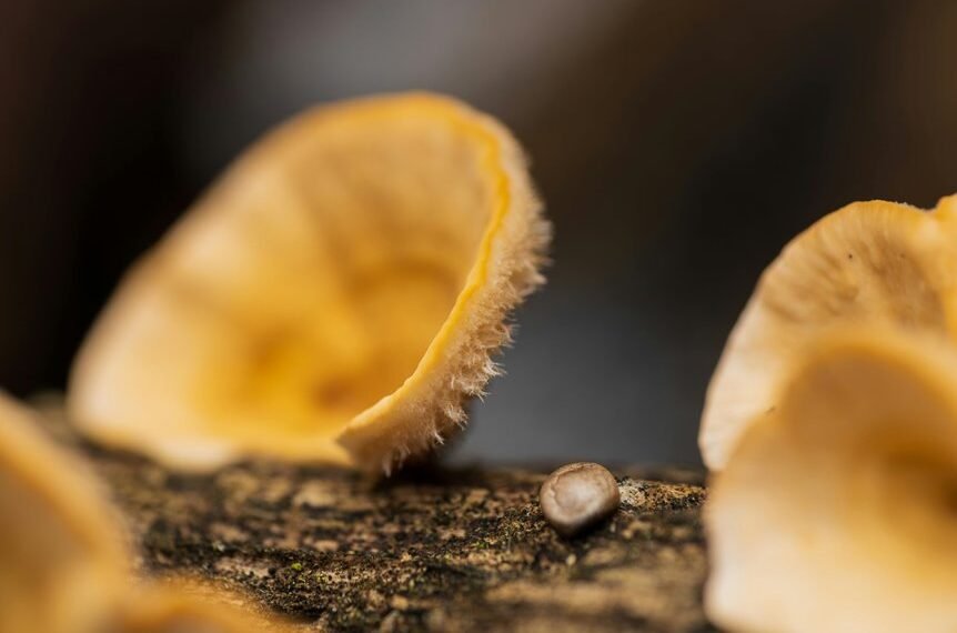 dataset association log details