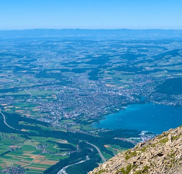 identifier linkage system overview