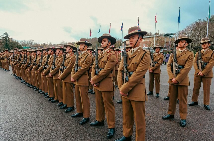 numeric cohort alignment ledger