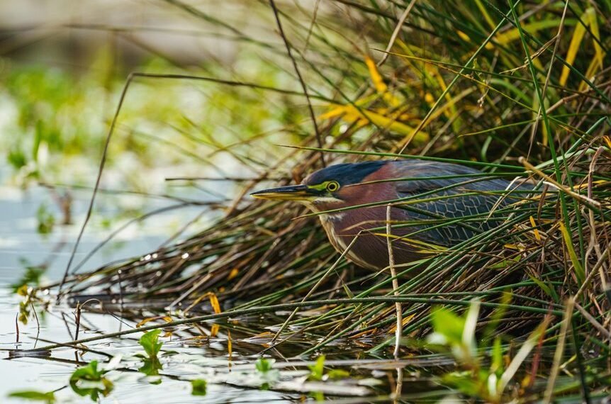 reference stream consolidation request